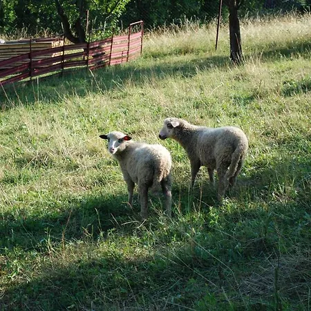 Ferienhaus Aniel Privat Bobrovec