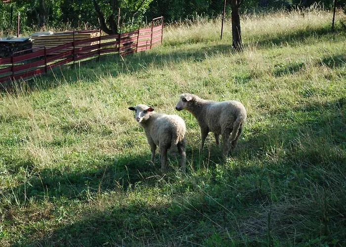 Σπίτι διακοπών Aniel Privat Bobrovec